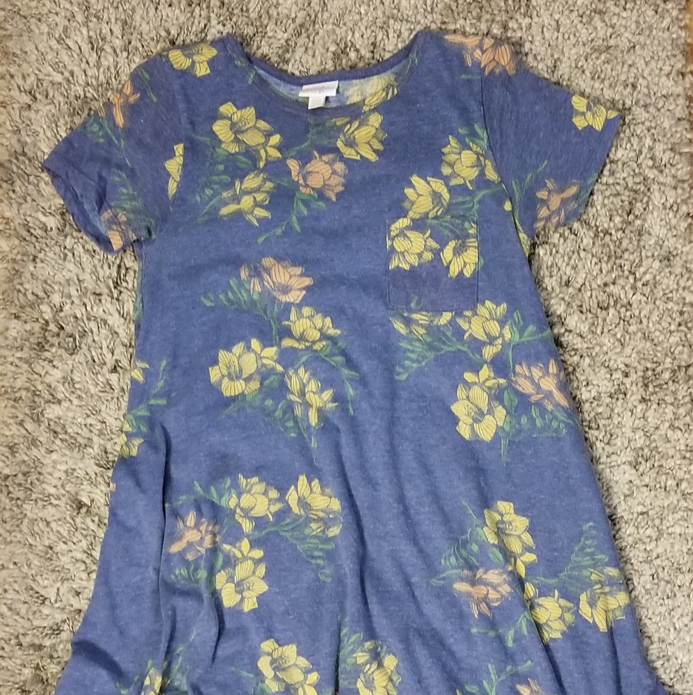 Carly Swing dress